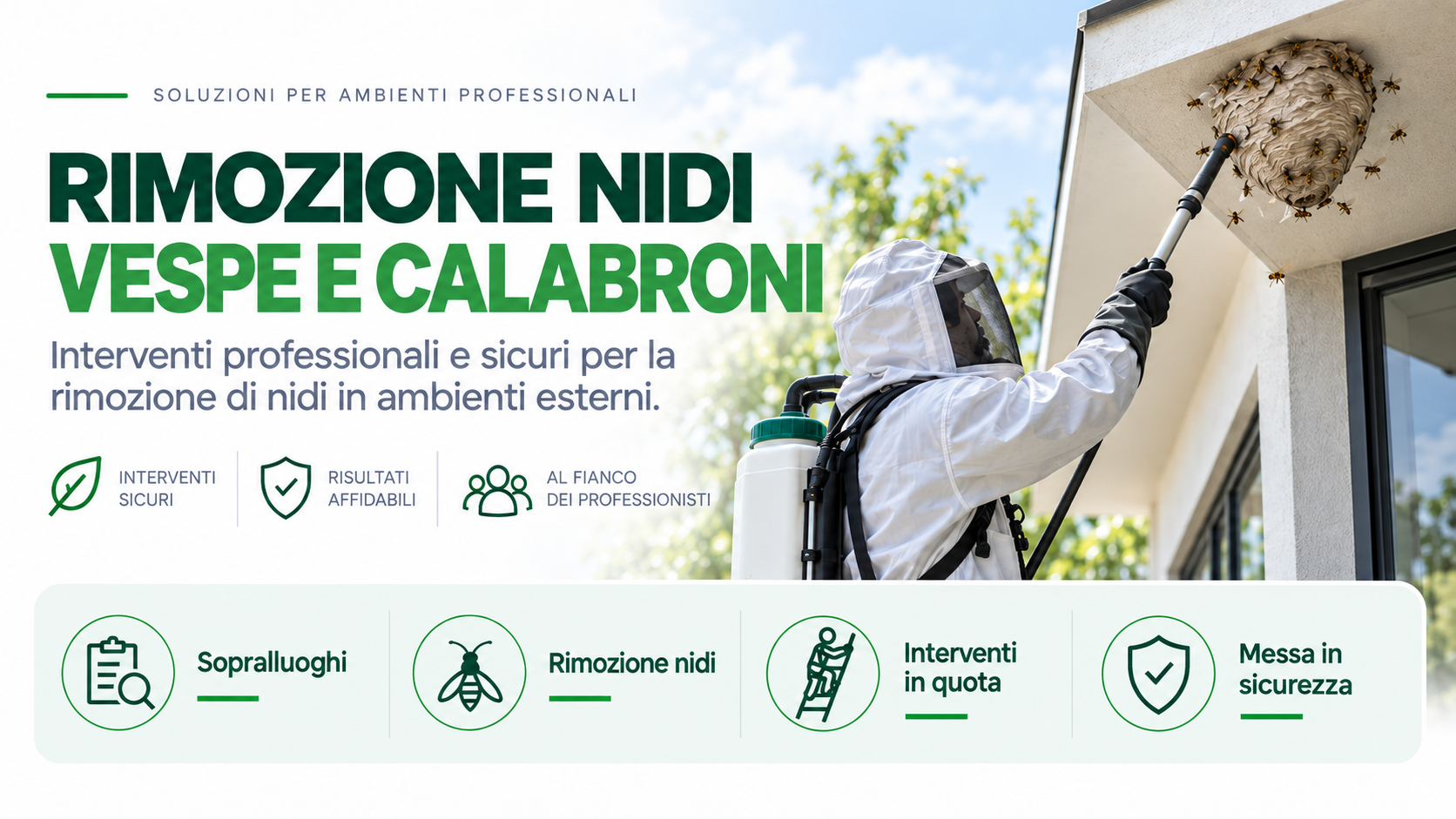 RIMOZIONE NIDI VESPE E CALABRONI